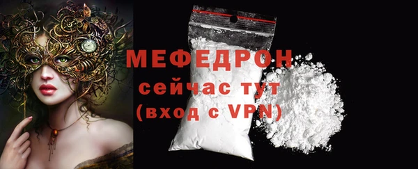 мдпв Бородино