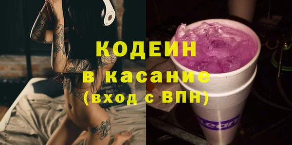 мдпв Бородино