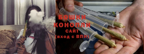 мдпв Бородино