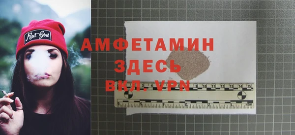 мдпв Бородино