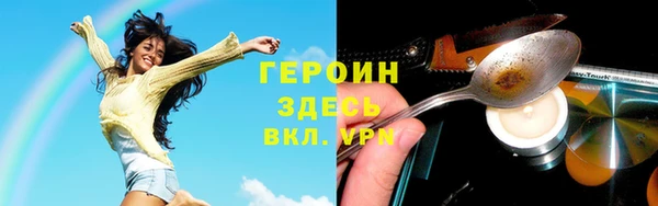 мдпв Бородино