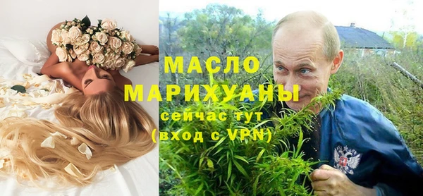 мдпв Бородино