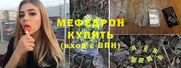мдпв Бородино