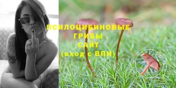 мдпв Бородино