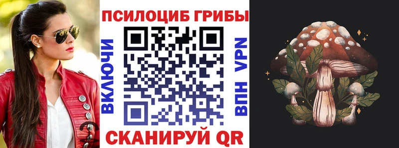 нарко площадка наркотические препараты  купить наркотик  Кирово-Чепецк  Галлюциногенные грибы прущие грибы 