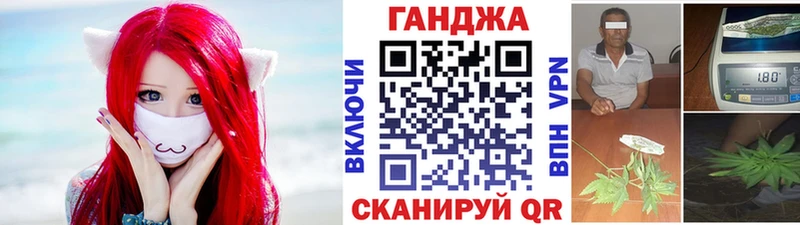 Конопля гибрид  Кирово-Чепецк 